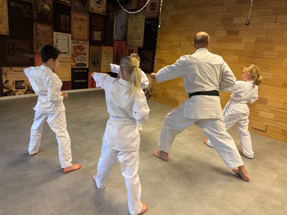 Karateles Picasso School